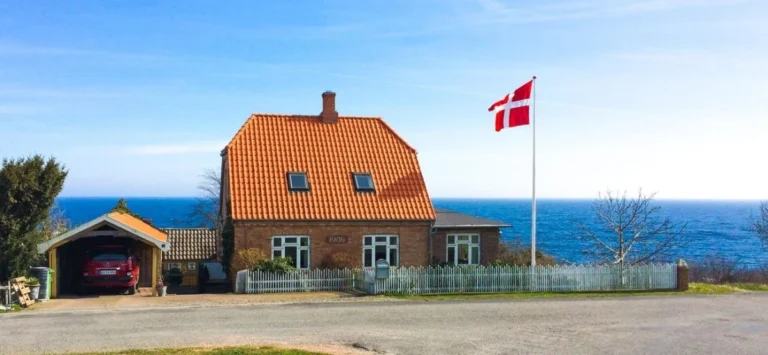 Exploring New Horizon A Guide to Immigration in Denmark